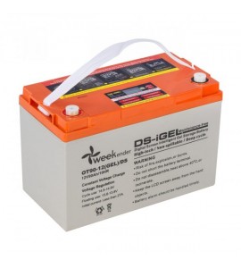 Аккумулятор гелевый 90Ah, 12V, с дисплеем, Weekender, 12V90AH DS