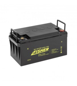 Аккумулятор гелевый 60Ah, 12V, Haswing, 60Ah gel H