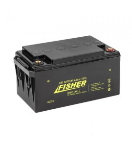 Аккумулятор гелевый 60Ah, 12V, Haswing, 60Ah gel H